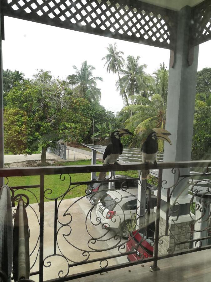Darney'S Homestay Kg Bangau Tanjung Темерлох Екстериор снимка